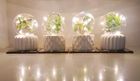 Luxa Plant Lamps